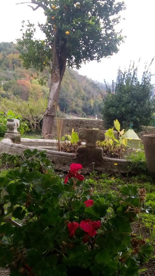 לינה וארוחת בוקר Vietri L'Antico Giardino מראה חיצוני תמונה