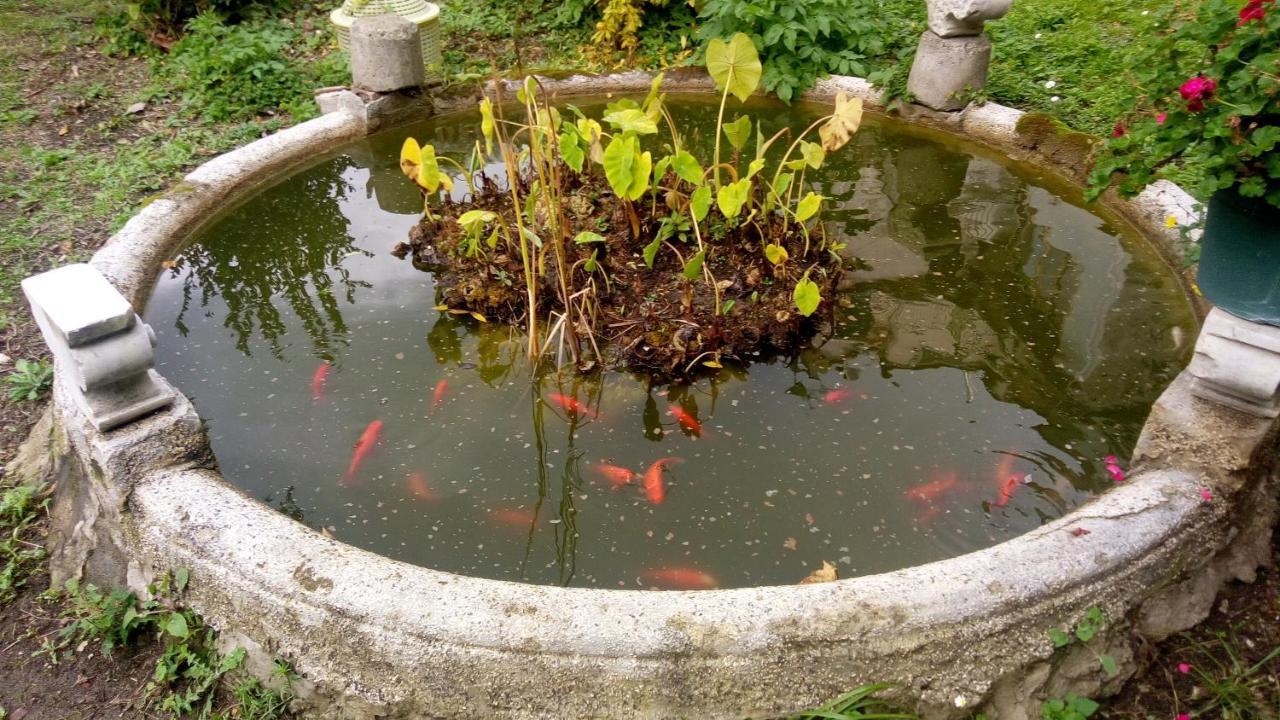 לינה וארוחת בוקר Vietri L'Antico Giardino מראה חיצוני תמונה